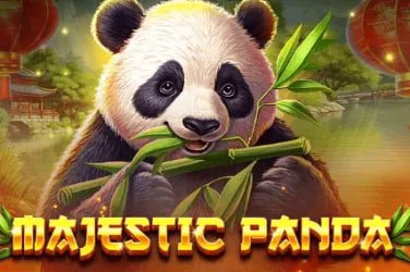 Giao diện cá cược slot online tối ưu trên điện thoại Android tại 888 club